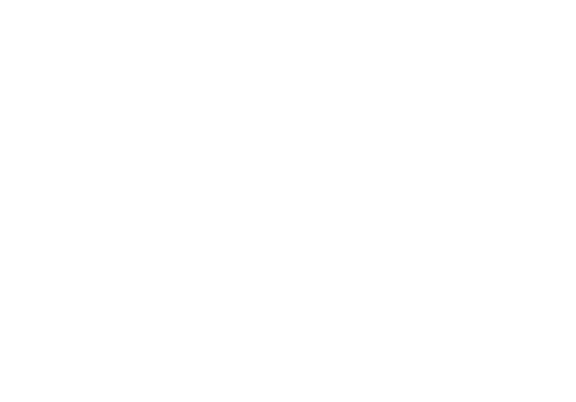 Santo SGPS